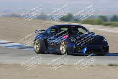 media/Apr-28-2024-Speed SF (Sun) [[c704f5d5b5]]/Gold/Phil Hill/